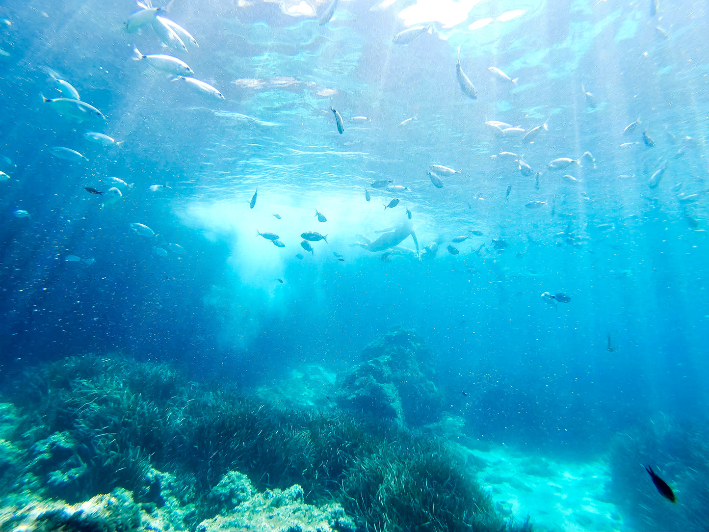Boucles d'oreilles en argent Binibeca
