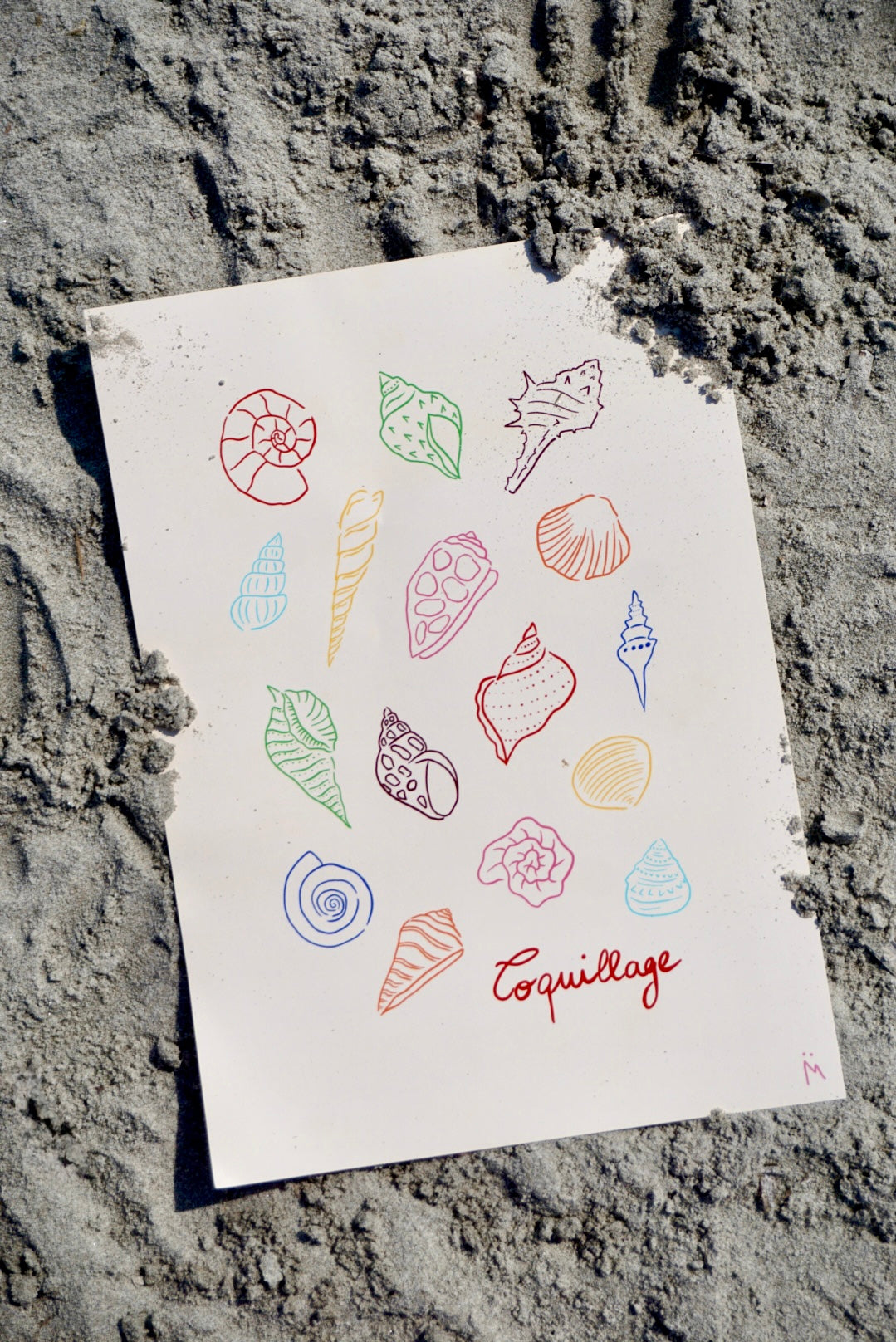 Ilustración Coquillage