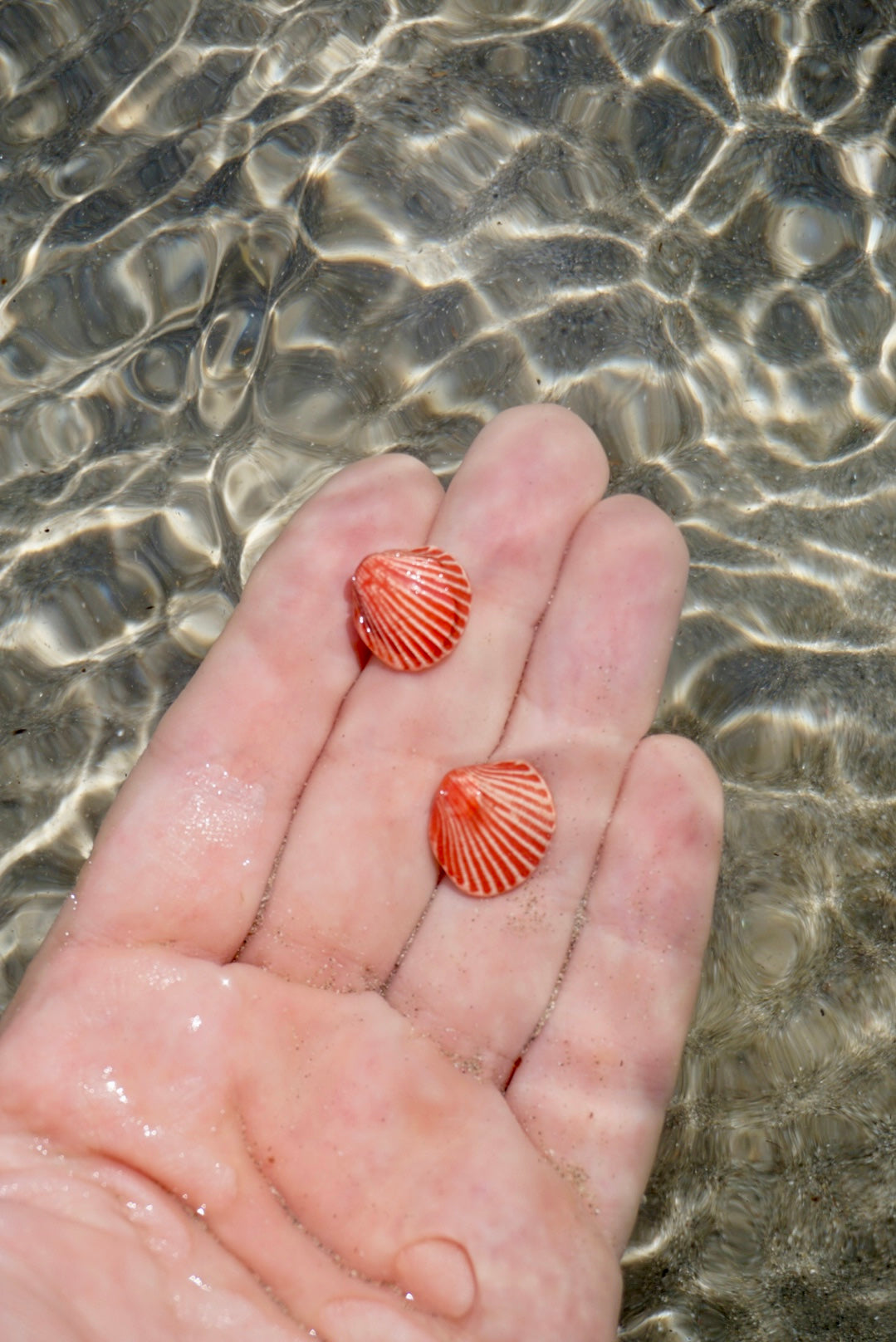 Pendientes Coquille Saint-Jacques